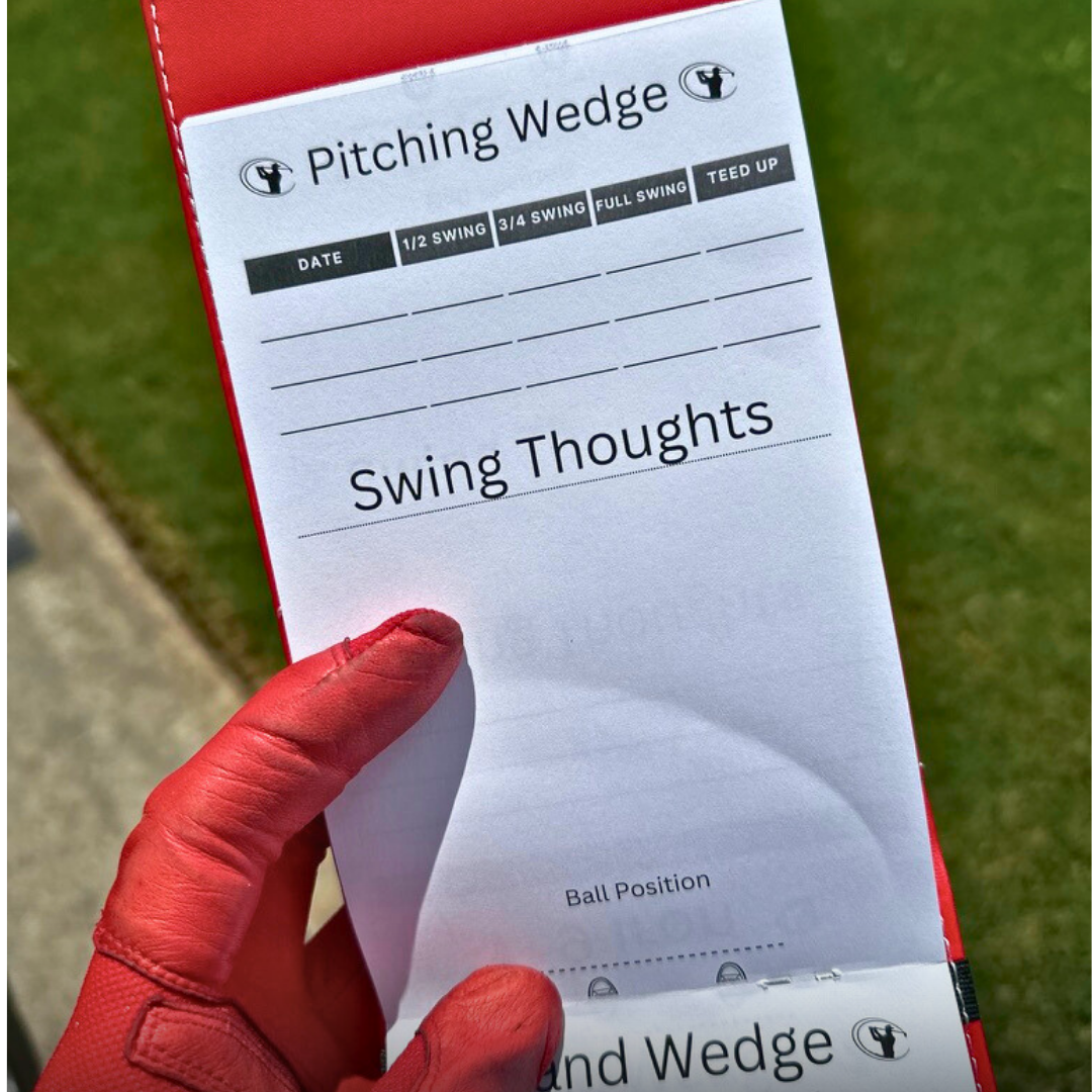 The SwingScribe Combo